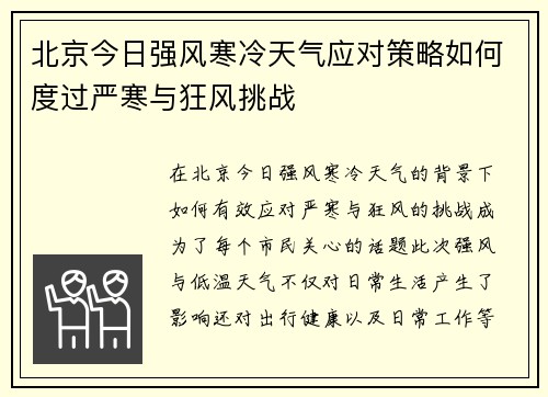 北京今日强风寒冷天气应对策略如何度过严寒与狂风挑战