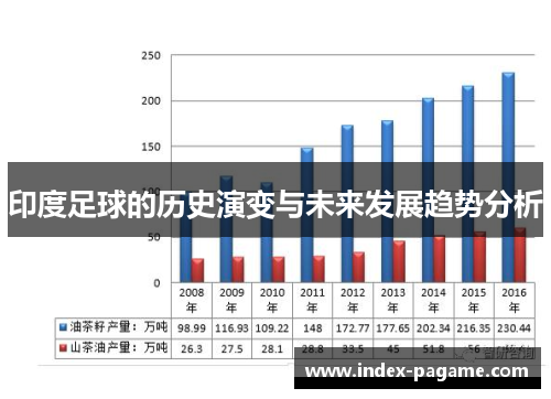 印度足球的历史演变与未来发展趋势分析