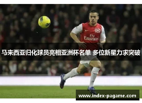 马来西亚归化球员亮相亚洲杯名单 多位新星力求突破 马来西亚归化球员亮相亚洲杯名单 多位新星力求突破