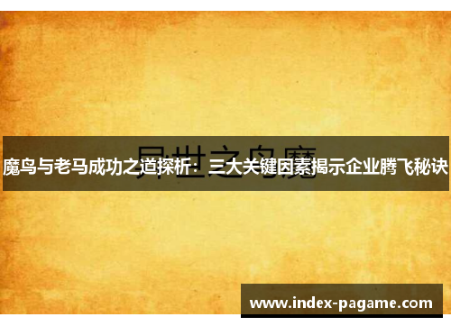 魔鸟与老马成功之道探析:三大关键因素揭示企业腾飞秘诀 魔鸟与老马成功之道探析:三大关键因素揭示企业腾飞秘诀