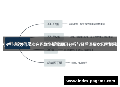 小卢卡斯为何屡次在巴黎坐板凳原因分析与背后深层次因素揭秘 小卢卡斯为何屡次在巴黎坐板凳原因分析与背后深层次因素揭秘