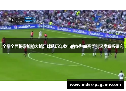 全景全面探索加的夫城足球队历年参与的多种联赛类别深度解析研究