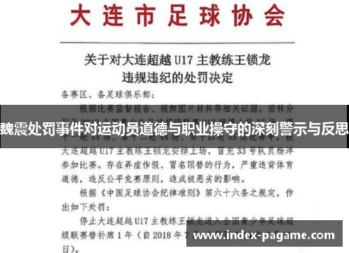 魏震处罚事件对运动员道德与职业操守的深刻警示与反思