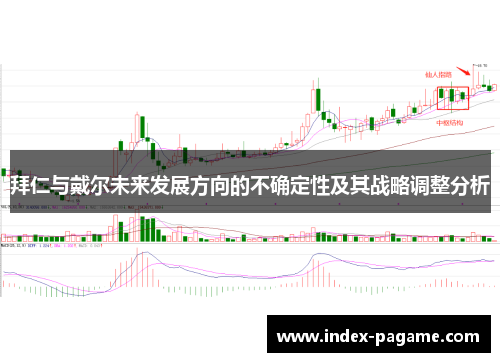 拜仁与戴尔未来发展方向的不确定性及其战略调整分析