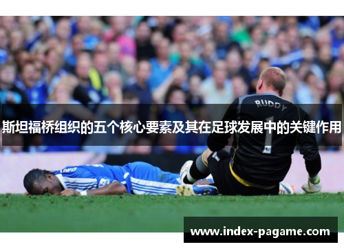 斯坦福桥组织的五个核心要素及其在足球发展中的关键作用
