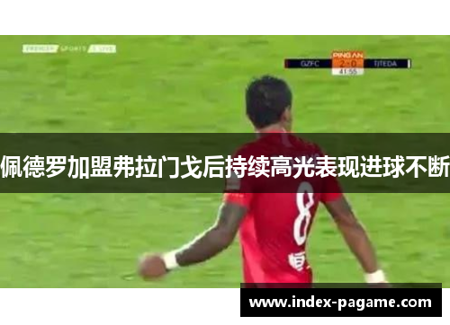 佩德罗加盟弗拉门戈后持续高光表现进球不断 佩德罗加盟弗拉门戈后持续高光表现进球不断