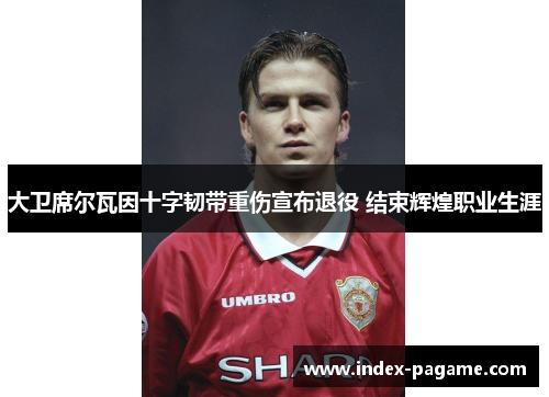 大卫席尔瓦因十字韧带重伤宣布退役 结束辉煌职业生涯 大卫席尔瓦因十字韧带重伤宣布退役 结束辉煌职业生涯