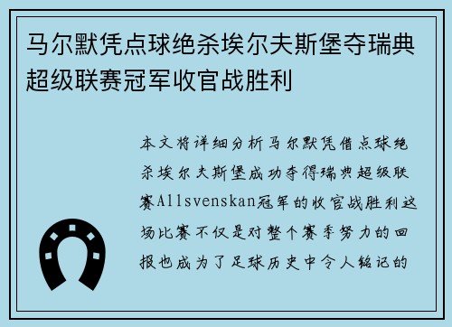 马尔默凭点球绝杀埃尔夫斯堡夺瑞典超级联赛冠军收官战胜利